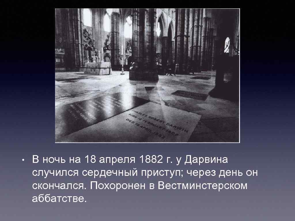  • В ночь на 18 апреля 1882 г. у Дарвина случился сердечный приступ;