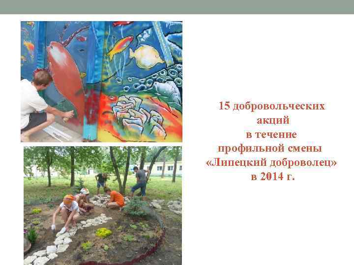 15 добровольческих акций в течение профильной смены «Липецкий доброволец» в 2014 г. 