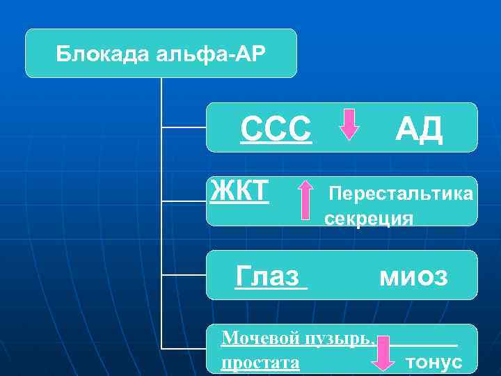 Блокада альфа-АР ССС ЖКТ АД Перестальтика секреция Глаз Мочевой пузырь, простата миоз тонус 
