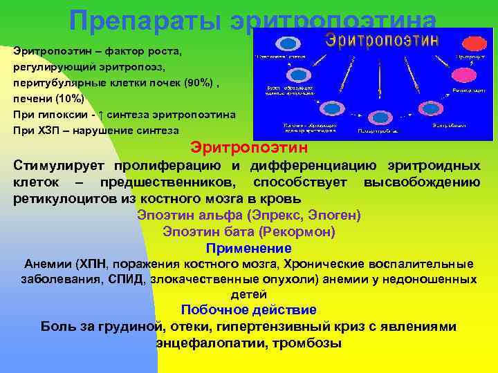 Препараты эритропоэтина Эритропоэтин – фактор роста, регулирующий эритропоэз, перитубулярные клетки почек (90%) , печени