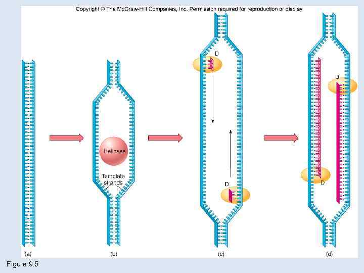 Figure 9. 5 