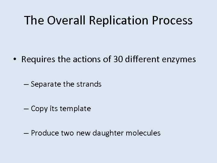 The Overall Replication Process • Requires the actions of 30 different enzymes – Separate