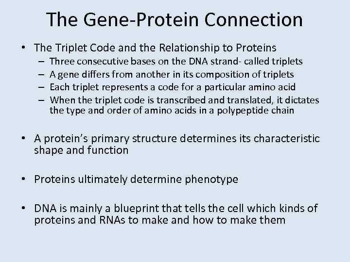 The Gene-Protein Connection • The Triplet Code and the Relationship to Proteins – –