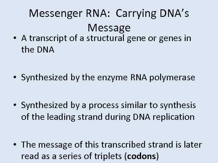 Messenger RNA: Carrying DNA’s Message • A transcript of a structural gene or genes