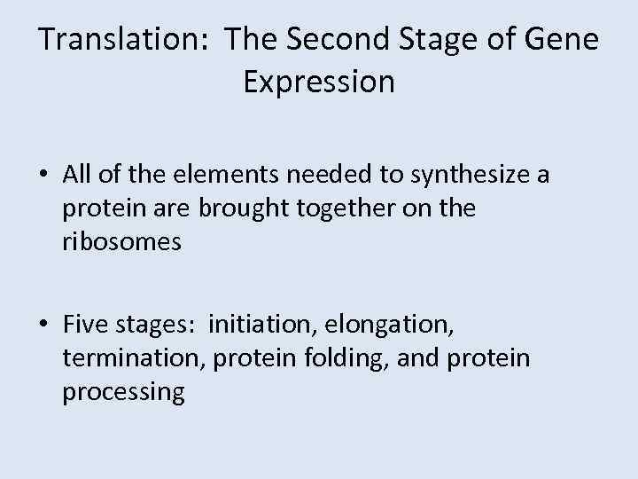 Translation: The Second Stage of Gene Expression • All of the elements needed to