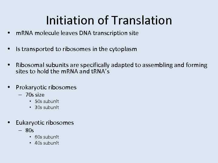 Initiation of Translation • m. RNA molecule leaves DNA transcription site • Is transported