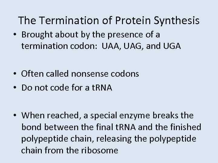 The Termination of Protein Synthesis • Brought about by the presence of a termination