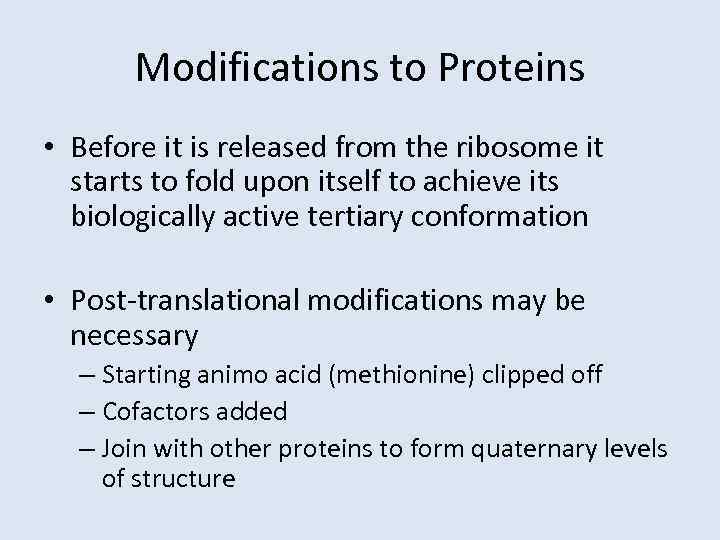 Modifications to Proteins • Before it is released from the ribosome it starts to