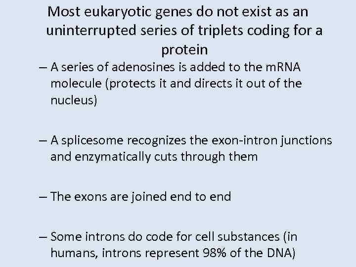 Most eukaryotic genes do not exist as an uninterrupted series of triplets coding for