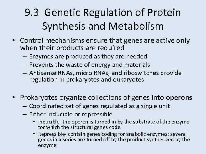 9. 3 Genetic Regulation of Protein Synthesis and Metabolism • Control mechanisms ensure that