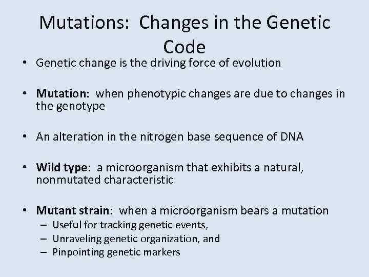 Mutations: Changes in the Genetic Code • Genetic change is the driving force of