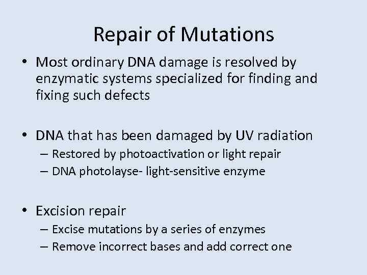 Repair of Mutations • Most ordinary DNA damage is resolved by enzymatic systems specialized