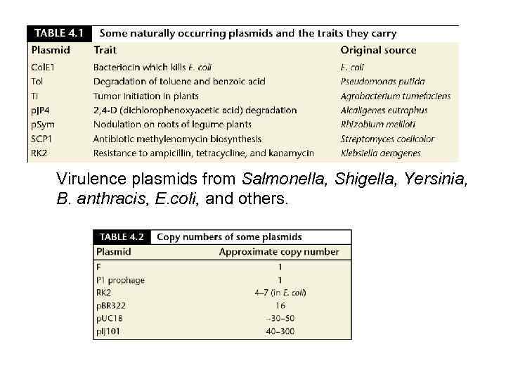 Virulence plasmids from Salmonella, Shigella, Yersinia, B. anthracis, E. coli, and others. 