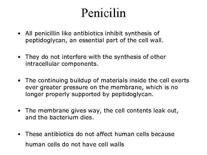 Penicilin • All penicillin like antibiotics inhibit synthesis of peptidoglycan, an essential part of