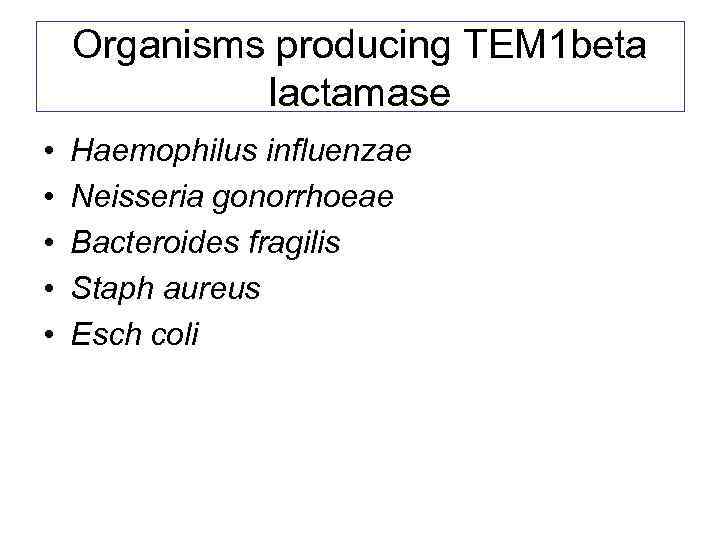Organisms producing TEM 1 beta lactamase • • • Haemophilus influenzae Neisseria gonorrhoeae Bacteroides