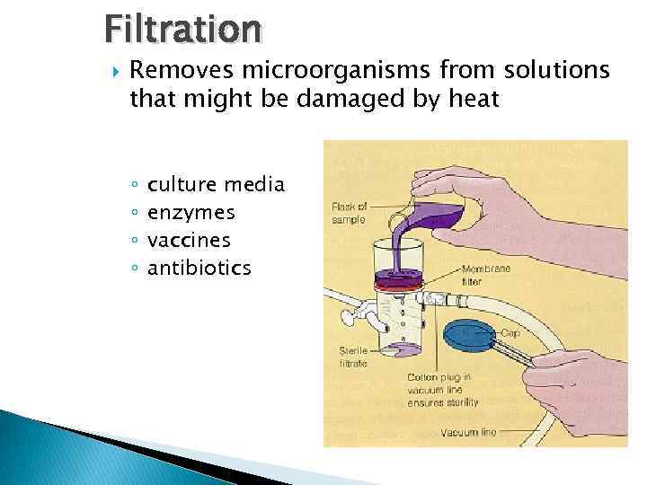 Filtration Removes microorganisms from solutions that might be damaged by heat ◦ ◦ culture