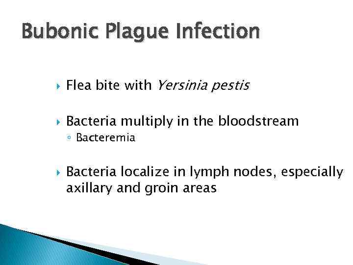 Bubonic Plague Infection Flea bite with Yersinia pestis Bacteria multiply in the bloodstream ◦