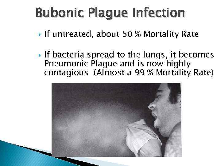 Bubonic Plague Infection If untreated, about 50 % Mortality Rate If bacteria spread to