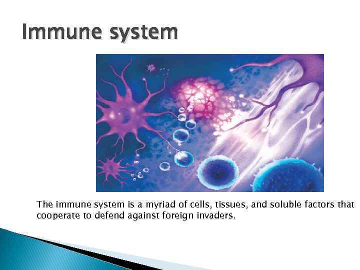 Immune system The immune system is a myriad of cells, tissues, and soluble factors