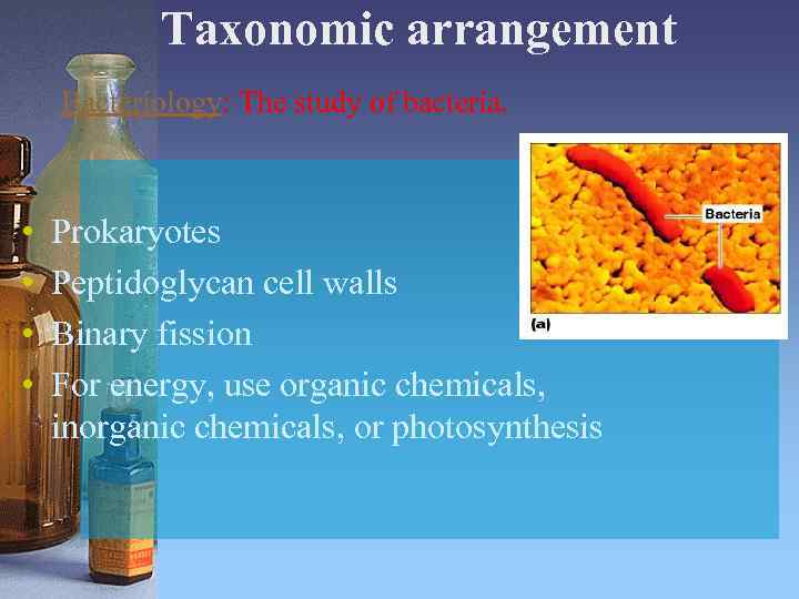 Taxonomic arrangement Bacteriology: The study of bacteria. • • Prokaryotes Peptidoglycan cell walls Binary