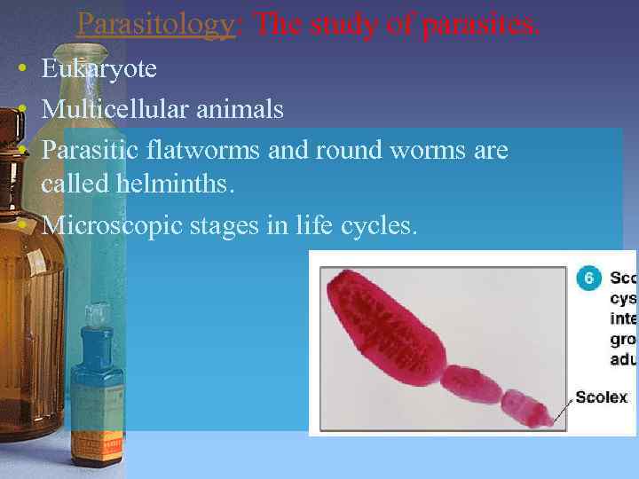 Parasitology: The study of parasites. • Eukaryote • Multicellular animals • Parasitic flatworms and