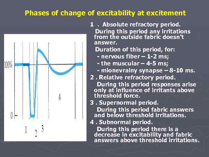 Phases of change of excitability at excitement 1. Absolute refractory period. During this period