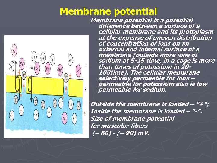 Membrane potential is a potential difference between a surface of a cellular membrane and