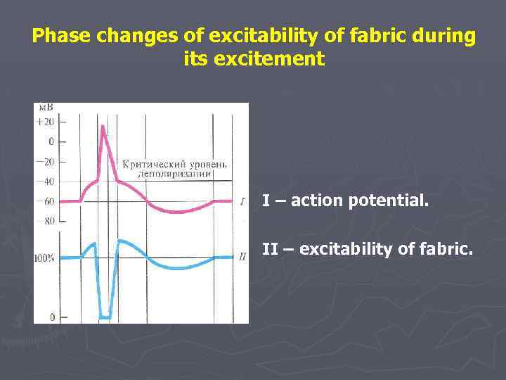 Phase changes of excitability of fabric during its excitement І – action potential. ІІ