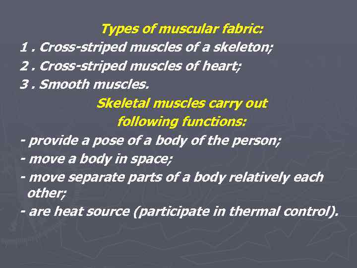 Types of muscular fabric: 1. Cross-striped muscles of a skeleton; 2. Cross-striped muscles of