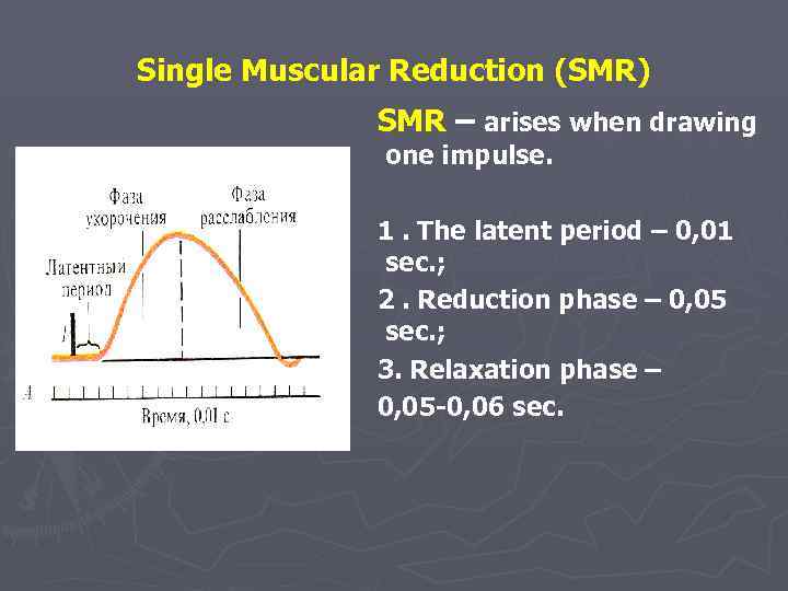 Single Muscular Reduction (SMR) SMR – arises when drawing one impulse. 1. The latent