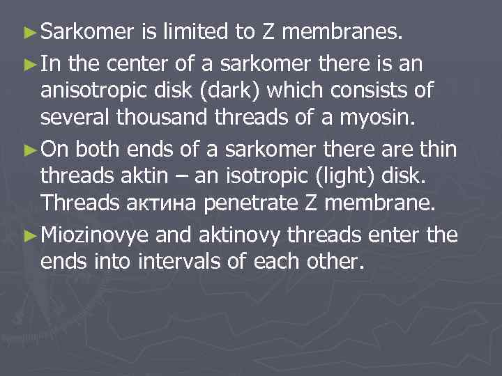 ► Sarkomer is limited to Z membranes. ► In the center of a sarkomer