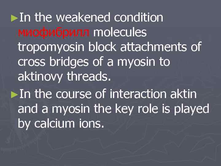 ►In the weakened condition миофибрилл molecules tropomyosin block attachments of cross bridges of a
