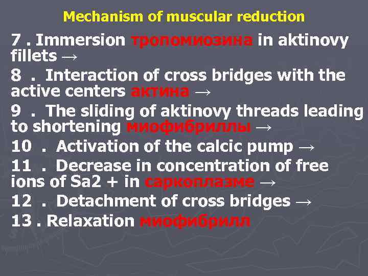 Mechanism of muscular reduction 7. Immersion тропомиозина in aktinovy fillets → 8. Interaction of