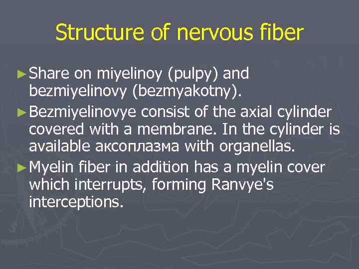 Structure of nervous fiber ► Share on miyelinoy (pulpy) and bezmiyelinovy (bezmyakotny). ► Bezmiyelinovye