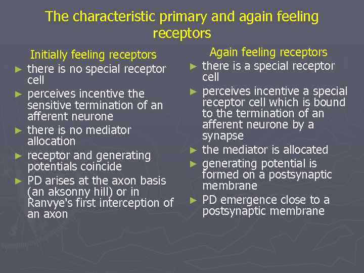 The characteristic primary and again feeling receptors ► ► ► Initially feeling receptors there