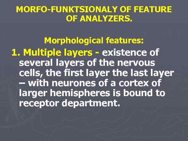 MORFO-FUNKTSIONALY OF FEATURE OF ANALYZERS. Morphological features: 1. Multiple layers - existence of several