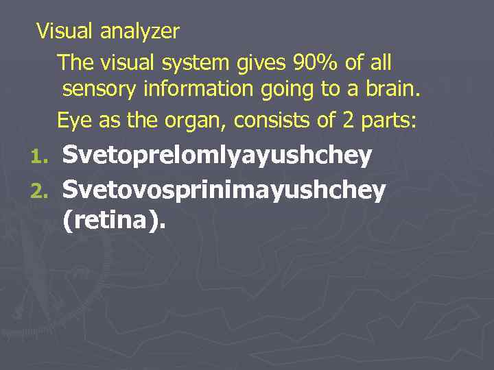 Visual analyzer The visual system gives 90% of all sensory information going to a