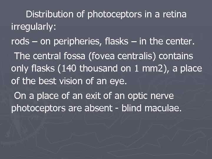 Distribution of photoceptors in a retina irregularly: rods – on peripheries, flasks – in