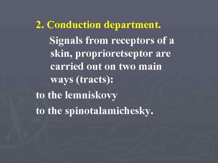 2. Conduction department. Signals from receptors of a skin, proprioretseptor are carried out on