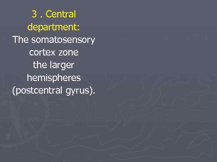 3. Central department: The somatosensory cortex zone the larger hemispheres (postcentral gyrus). 