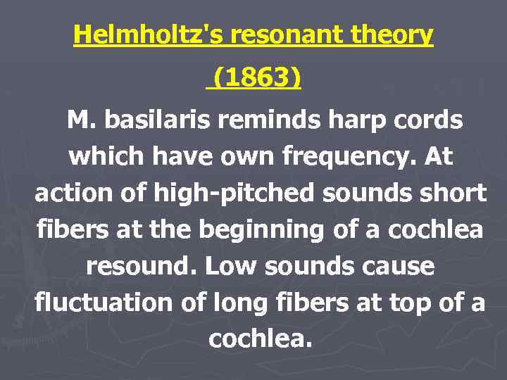 Helmholtz's resonant theory (1863) M. basilaris reminds harp cords which have own frequency. At