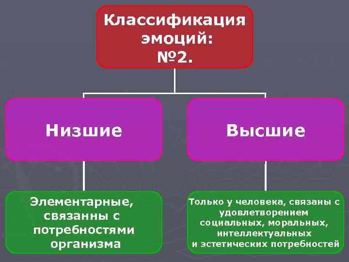 Классификация эмоций: № 2. Низшие Высшие Элементарные, связанны с потребностями организма Только у человека,