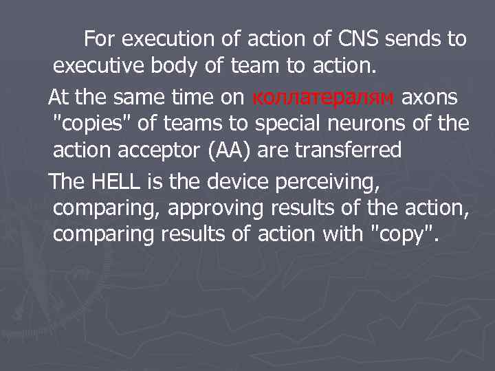 For execution of action of CNS sends to executive body of team to action.