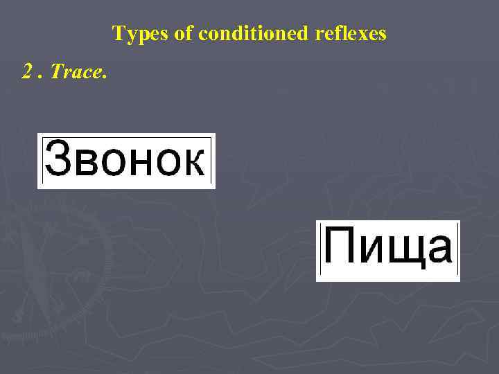 Types of conditioned reflexes 2. Trace. 