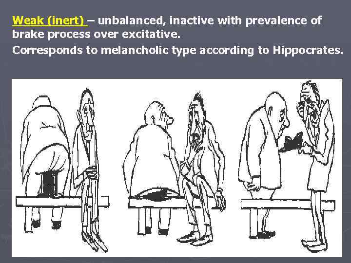 Weak (inert) – unbalanced, inactive with prevalence of brake process over excitative. Corresponds to