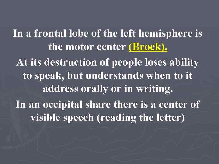 In a frontal lobe of the left hemisphere is the motor center (Brock). At