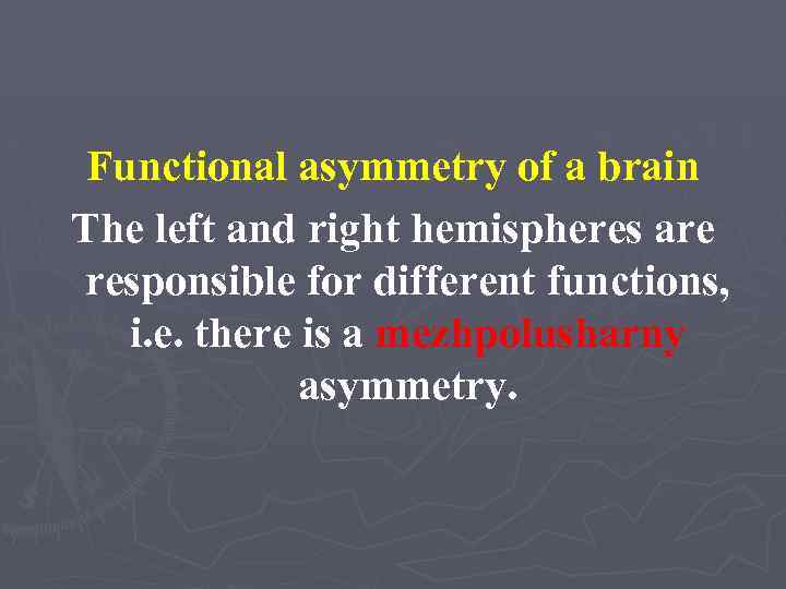 Functional asymmetry of a brain The left and right hemispheres are responsible for different