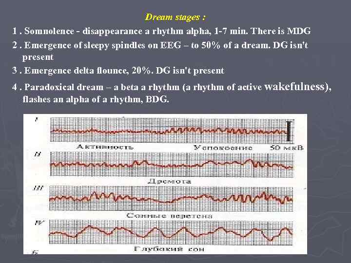 Dream stages : 1. Somnolence - disappearance a rhythm alpha, 1 -7 min. There