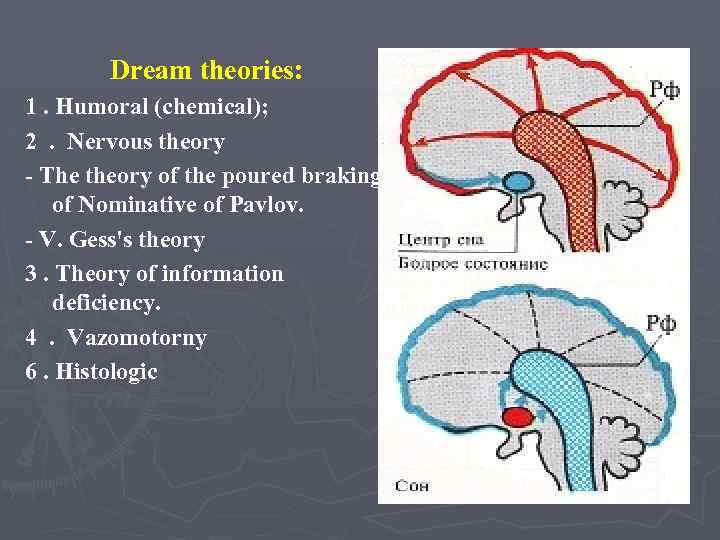 Dream theories: 1. Humoral (chemical); 2. Nervous theory - The theory of the poured