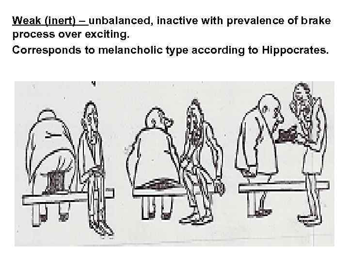 Weak (inert) – unbalanced, inactive with prevalence of brake process over exciting. Corresponds to